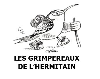 Les Grimpereaux de l'Hermitain